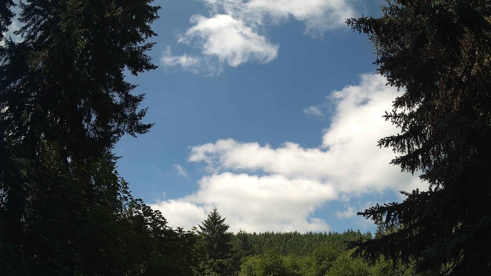 Pacific Northwest skyline timelapse frame from Jul 5th, 2026 at 11:15 AM