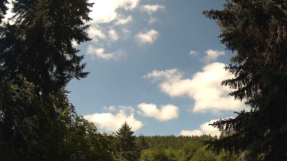 Pacific Northwest skyline timelapse frame from Jul 5th, 2026 at 11:30 AM