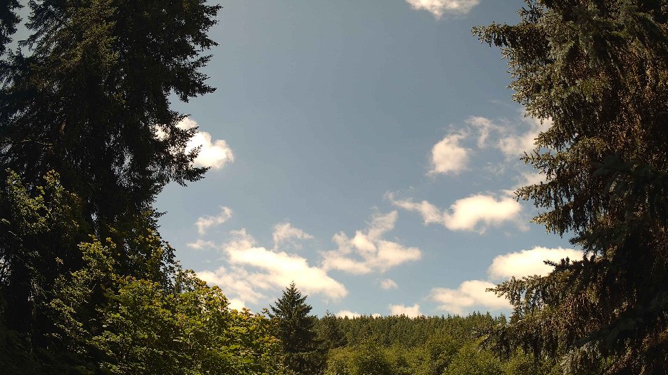 Pacific Northwest skyline timelapse frame from Jul 5th, 2026 at 11:45 AM