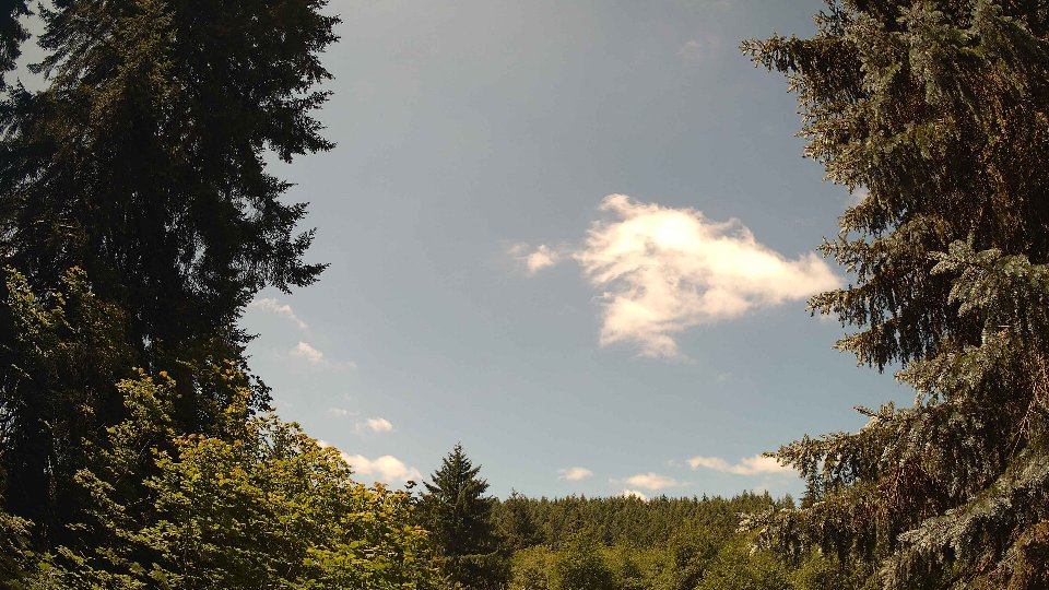 Pacific Northwest skyline timelapse frame from Jul 5th, 2026 at 12:00 PM
