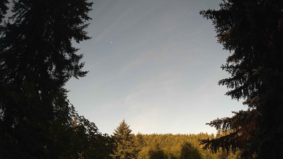 Pacific Northwest skyline timelapse frame from Jul 6th, 2026 at 8:00 AM