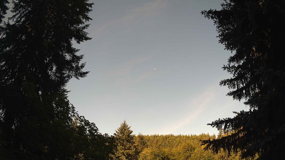 Pacific Northwest skyline timelapse frame from Jul 6th, 2026 at 9:00 AM