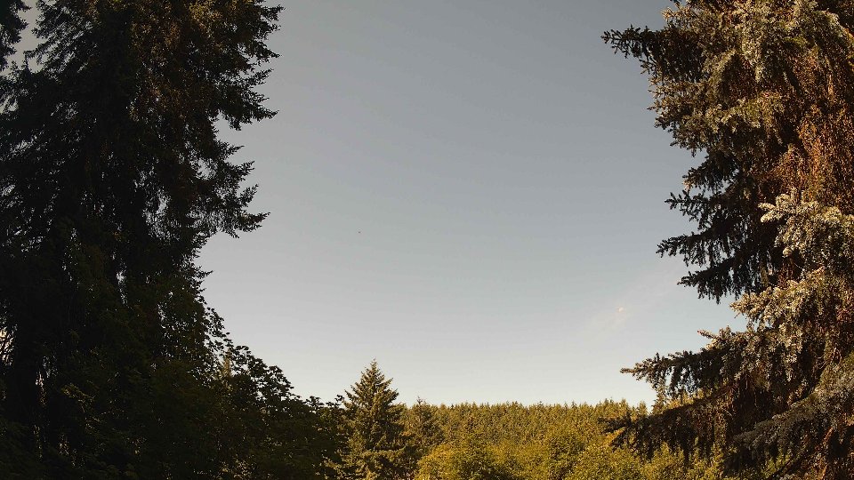 Pacific Northwest skyline timelapse frame from Jul 6th, 2026 at 10:15 AM