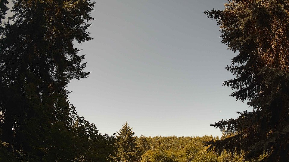 Pacific Northwest skyline timelapse frame from Jul 6th, 2026 at 10:30 AM