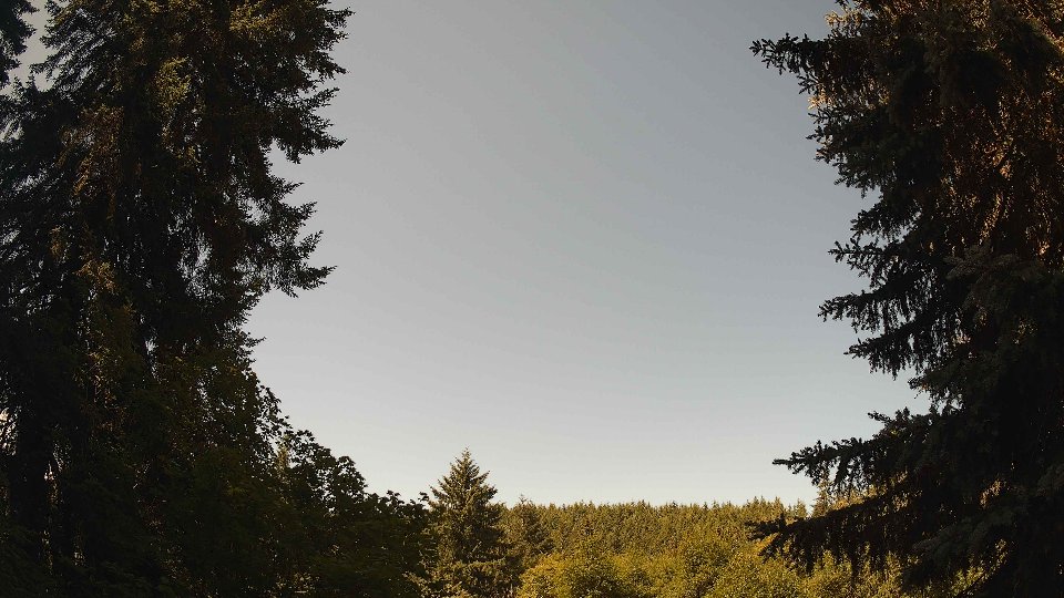Pacific Northwest skyline timelapse frame from Jul 6th, 2026 at 11:00 AM