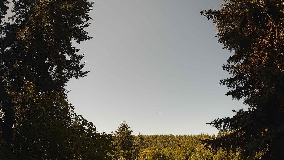 Pacific Northwest skyline timelapse frame from Jul 6th, 2026 at 11:15 AM