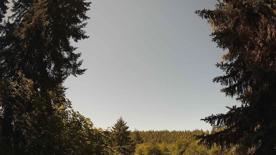 Pacific Northwest skyline timelapse frame from Jul 6th, 2026 at 11:30 AM
