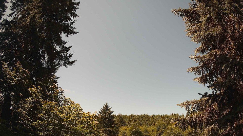 Pacific Northwest skyline timelapse frame from Jul 6th, 2026 at 11:45 AM