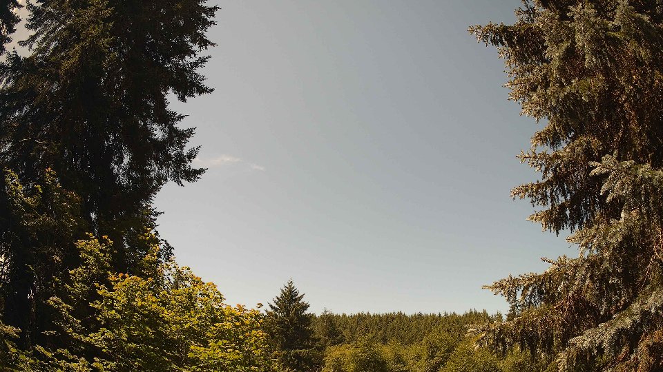 Pacific Northwest skyline timelapse frame from Jul 6th, 2026 at 12:00 PM