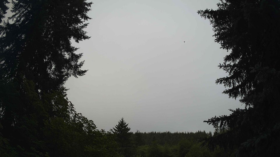 Pacific Northwest skyline timelapse frame from Jul 8th, 2026 at 7:30 AM
