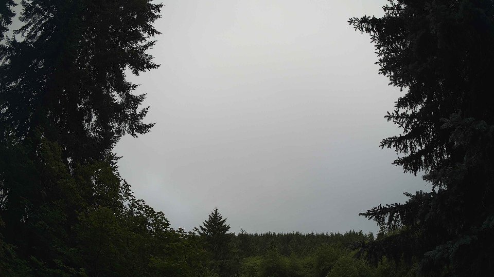 Pacific Northwest skyline timelapse frame from Jul 8th, 2026 at 8:00 AM
