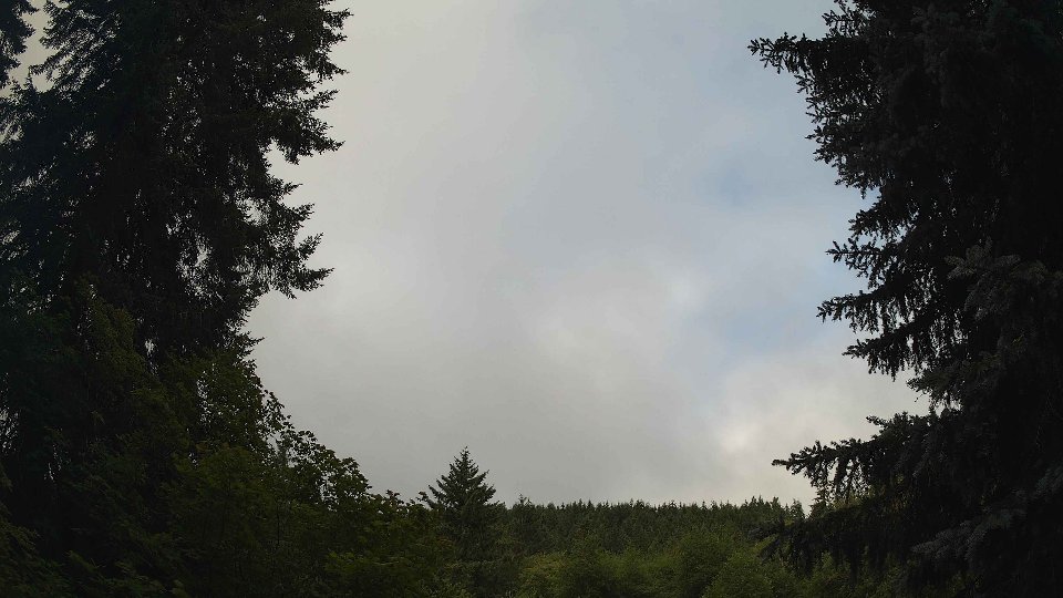 Pacific Northwest skyline timelapse frame from Jul 8th, 2026 at 8:15 AM