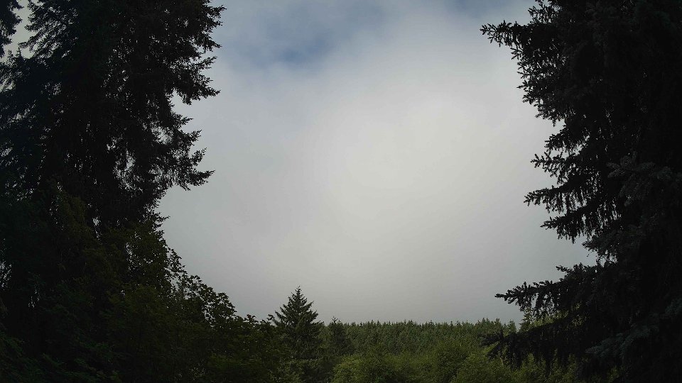 Pacific Northwest skyline timelapse frame from Jul 8th, 2026 at 8:45 AM