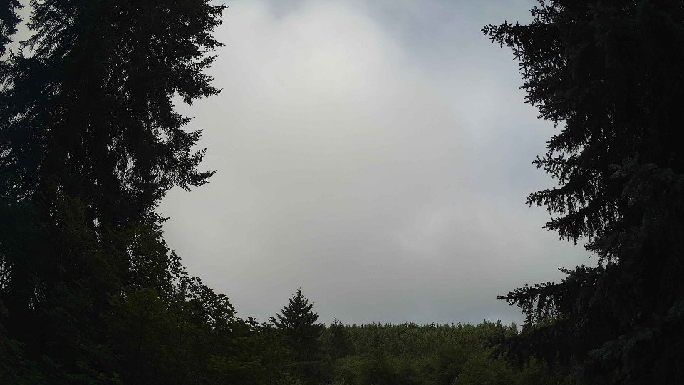 Pacific Northwest skyline timelapse frame from Jul 8th, 2026 at 9:15 AM