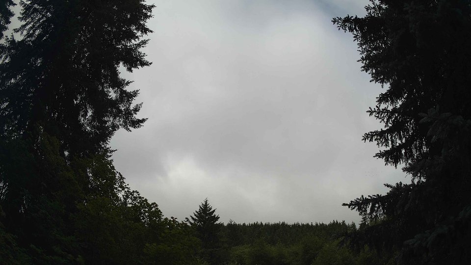 Pacific Northwest skyline timelapse frame from Jul 8th, 2026 at 9:45 AM