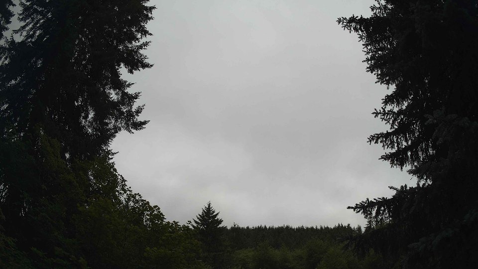 Pacific Northwest skyline timelapse frame from Jul 8th, 2026 at 10:00 AM