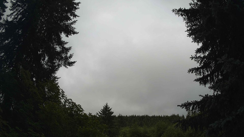 Pacific Northwest skyline timelapse frame from Jul 8th, 2026 at 10:15 AM