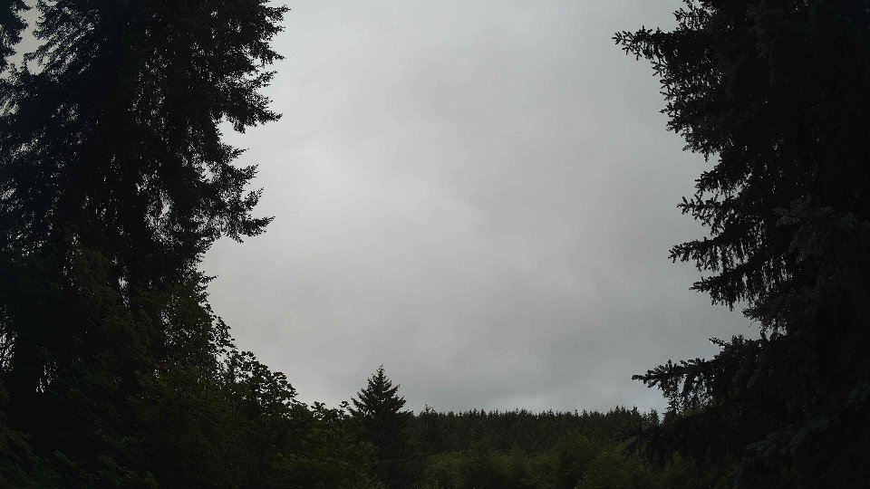 Pacific Northwest skyline timelapse frame from Jul 8th, 2026 at 10:30 AM