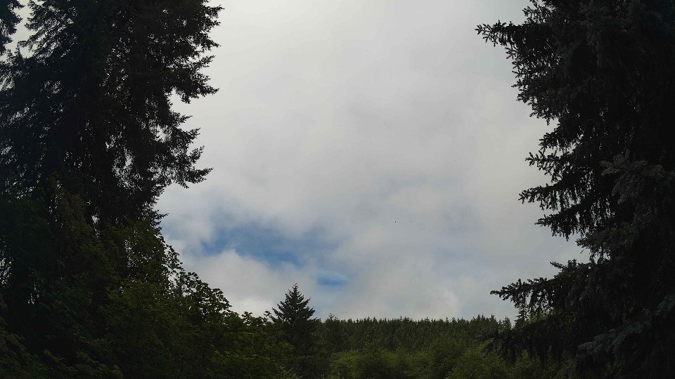 Pacific Northwest skyline timelapse frame from Jul 8th, 2026 at 10:45 AM