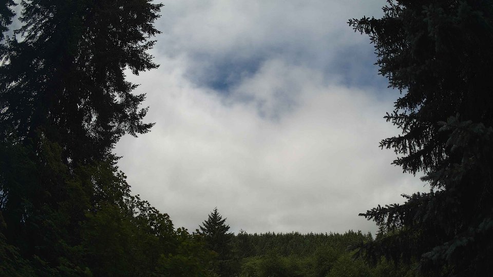 Pacific Northwest skyline timelapse frame from Jul 8th, 2026 at 11:00 AM