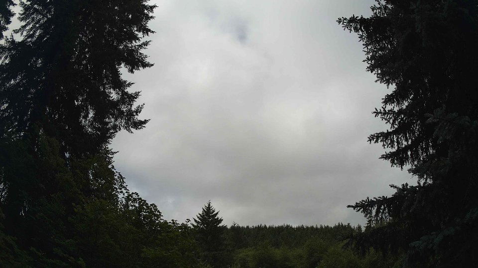 Pacific Northwest skyline timelapse frame from Jul 8th, 2026 at 11:15 AM