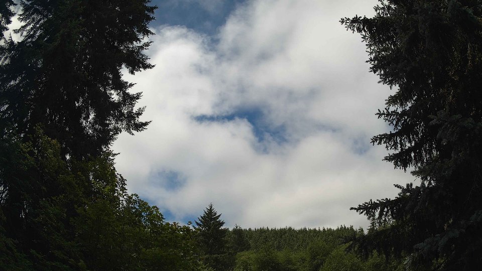 Pacific Northwest skyline timelapse frame from Jul 8th, 2026 at 11:30 AM