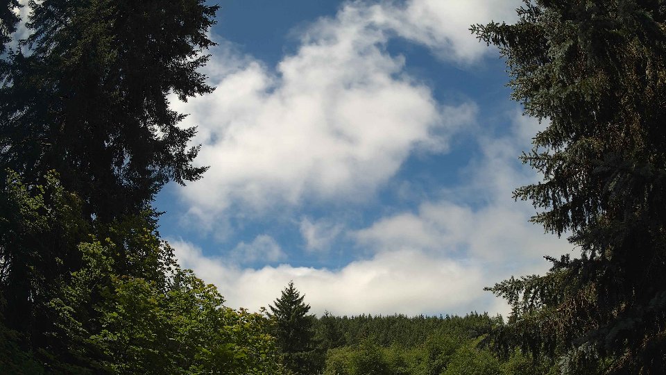 Pacific Northwest skyline timelapse frame from Jul 8th, 2026 at 11:45 AM