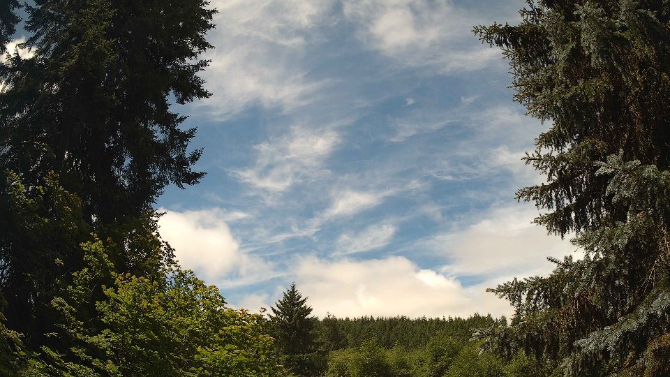 Pacific Northwest skyline timelapse frame from Jul 8th, 2026 at 12:00 PM