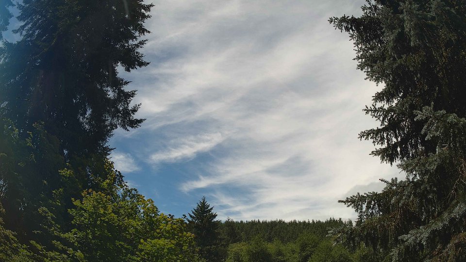 Pacific Northwest skyline timelapse frame from Jul 8th, 2026 at 12:15 PM