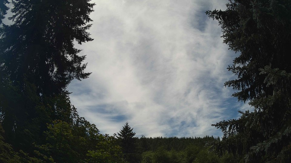 Pacific Northwest skyline timelapse frame from Jul 8th, 2026 at 12:30 PM