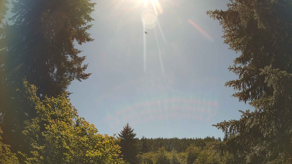 Pacific Northwest skyline timelapse frame from Jul 8th, 2026 at 2:45 PM