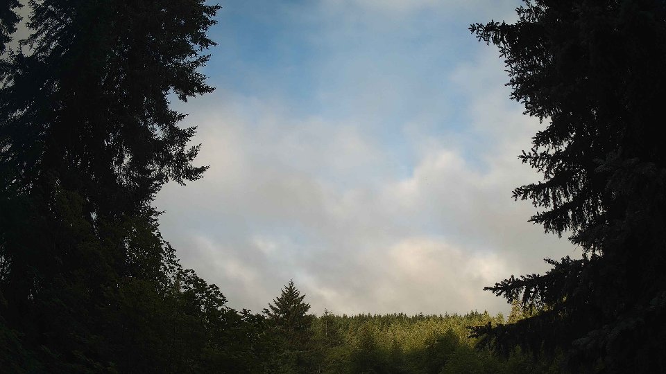 Pacific Northwest skyline timelapse frame from Jul 9th, 2026 at 6:30 AM