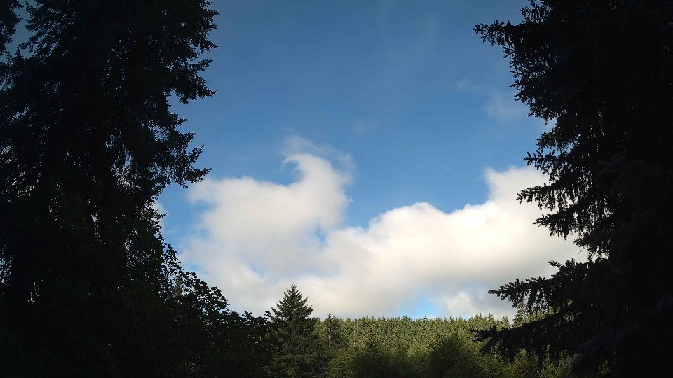 Pacific Northwest skyline timelapse frame from Jul 9th, 2026 at 8:00 AM
