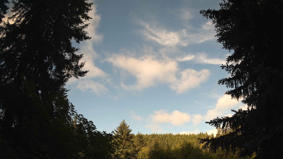 Pacific Northwest skyline timelapse frame from Jul 9th, 2026 at 8:15 AM