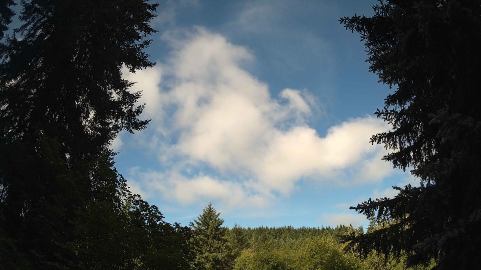 Pacific Northwest skyline timelapse frame from Jul 9th, 2026 at 8:30 AM