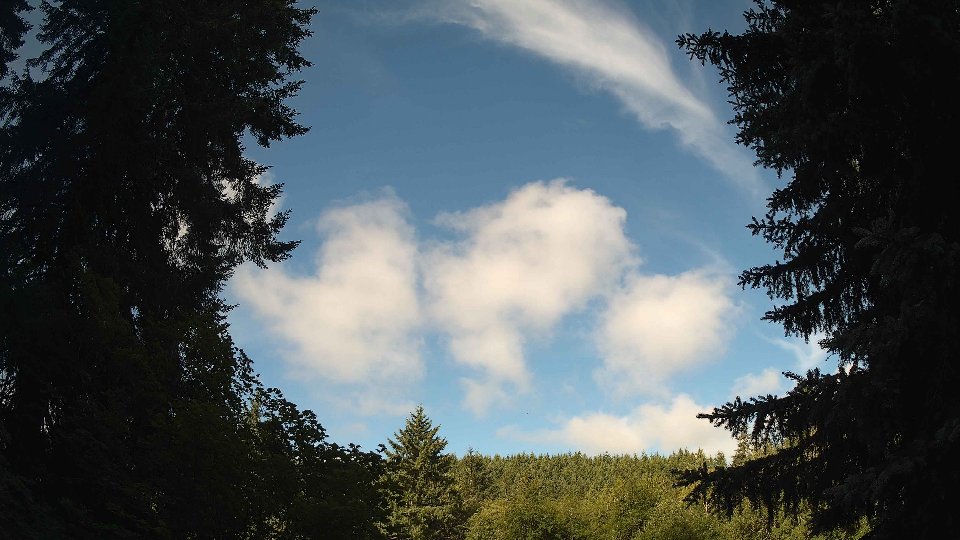 Pacific Northwest skyline timelapse frame from Jul 9th, 2026 at 8:45 AM