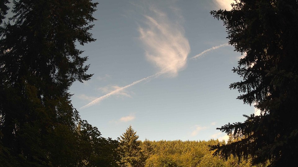 Pacific Northwest skyline timelapse frame from Jul 9th, 2026 at 9:00 AM