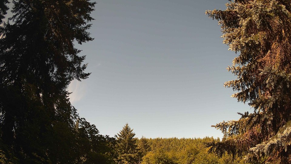 Pacific Northwest skyline timelapse frame from Jul 9th, 2026 at 10:00 AM