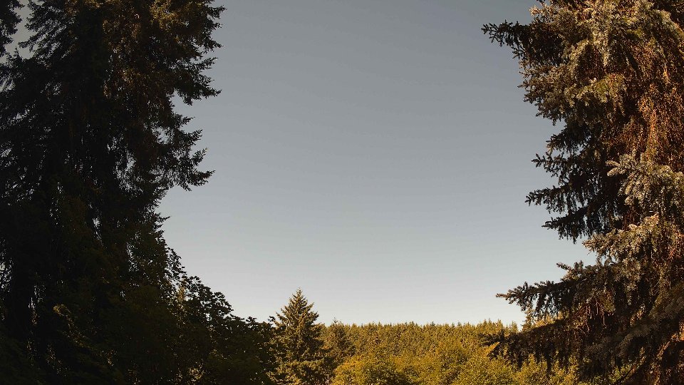 Pacific Northwest skyline timelapse frame from Jul 9th, 2026 at 10:15 AM