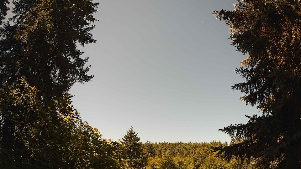 Pacific Northwest skyline timelapse frame from Jul 9th, 2026 at 11:30 AM
