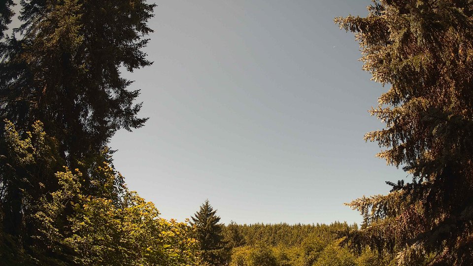 Pacific Northwest skyline timelapse frame from Jul 9th, 2026 at 11:45 AM