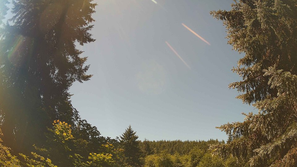 Pacific Northwest skyline timelapse frame from Jul 9th, 2026 at 12:45 PM