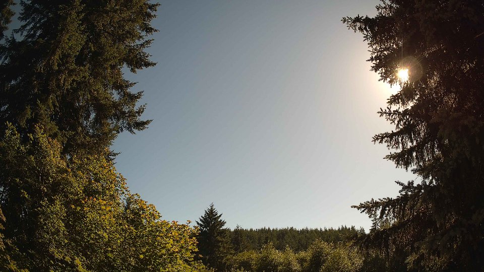 Pacific Northwest skyline timelapse frame from Jul 9th, 2026 at 5:15 PM