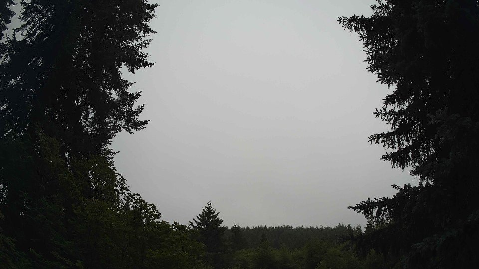Pacific Northwest skyline timelapse frame from Jul 10th, 2026 at 8:30 AM