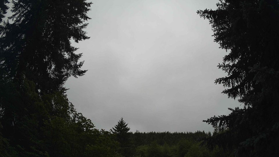 Pacific Northwest skyline timelapse frame from Jul 10th, 2026 at 10:15 AM
