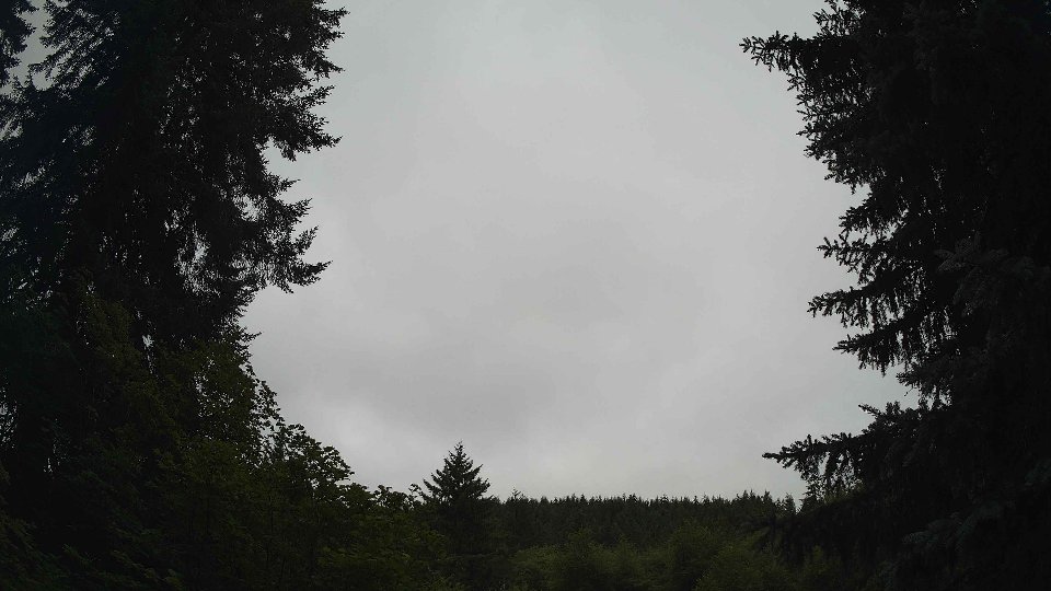 Pacific Northwest skyline timelapse frame from Jul 10th, 2026 at 10:30 AM