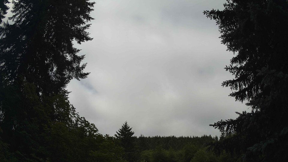 Pacific Northwest skyline timelapse frame from Jul 10th, 2026 at 11:00 AM