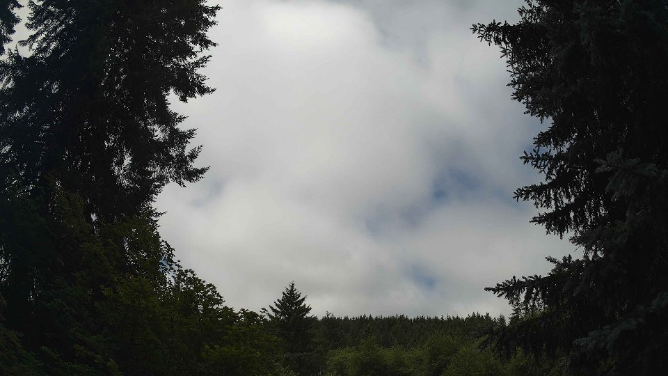 Pacific Northwest skyline timelapse frame from Jul 10th, 2026 at 11:15 AM