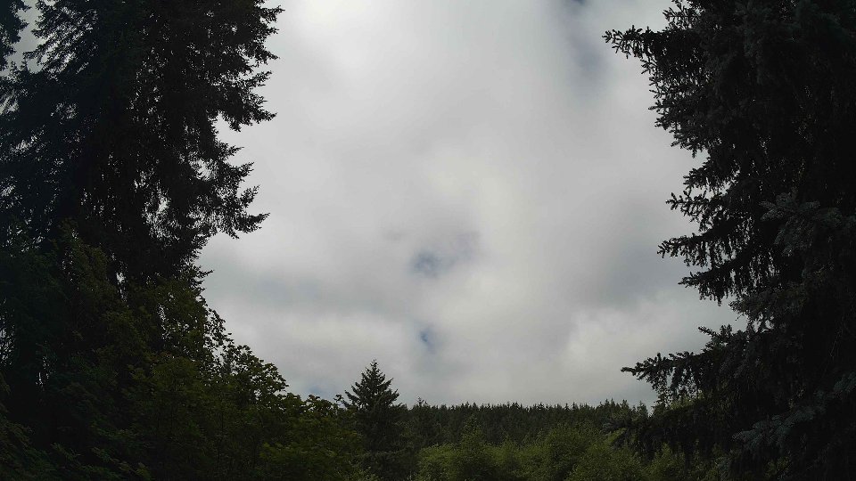Pacific Northwest skyline timelapse frame from Jul 10th, 2026 at 11:30 AM
