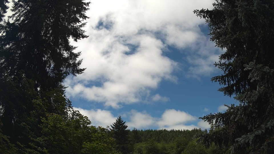 Pacific Northwest skyline timelapse frame from Jul 10th, 2026 at 12:00 PM
